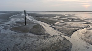 Wadden