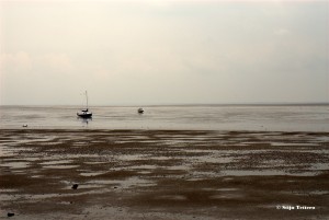 Droogvallen op Wadden. Credit: Stijn Tettero