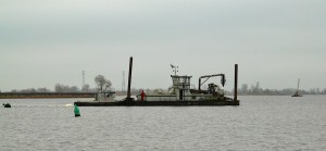 Baggerstort Alkmaardermeer