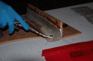 Epoxy fillet9