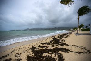 Sint Maarten