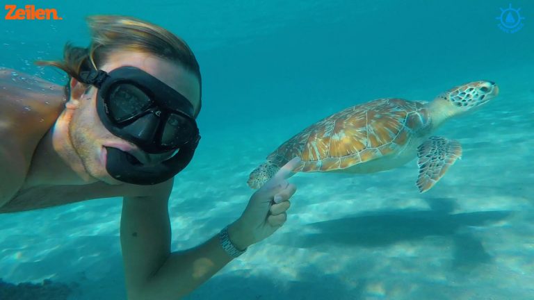 SY Anne Marie (S4A5): Zes weken vermaak op Bonaire