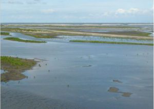 Marker Wadden