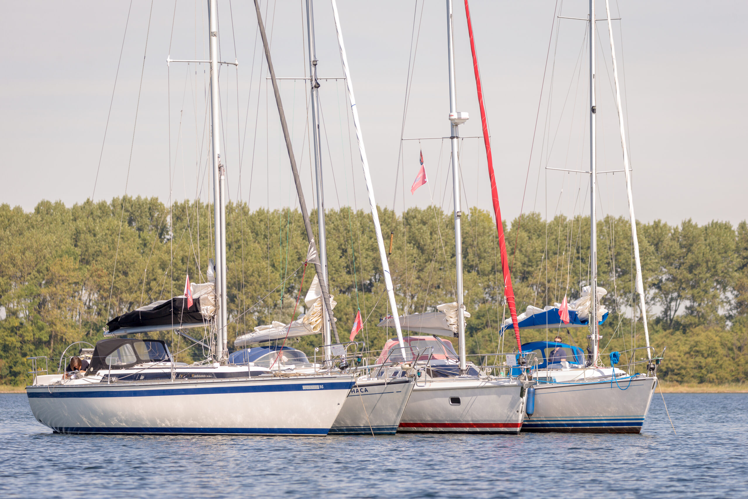 invoer Kinderachtig pakket Hier vind je jouw tweedehands boot - Zeilen