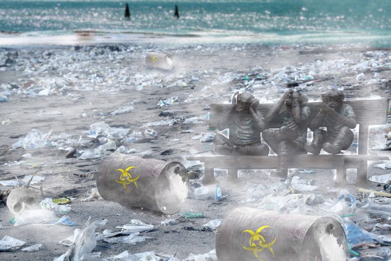 Walvis aangespoeld met maag vol plastic