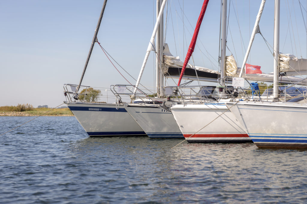 excelleren dump Kantine Hier vind je jouw tweedehands boot - Zeilen