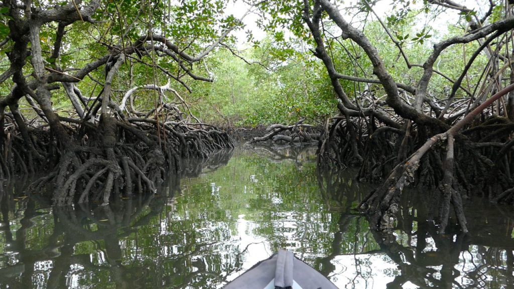 Sailors for Sustainability