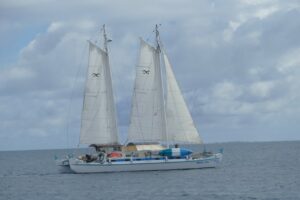 Sailors for Sustainability