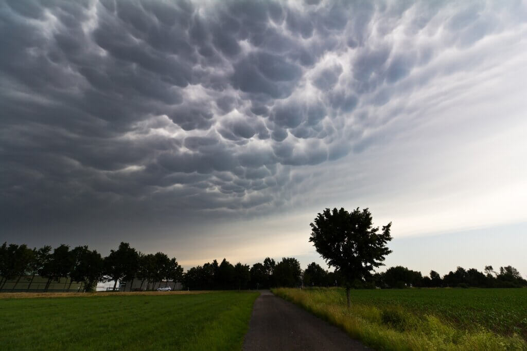 Cumulonimbus mammatum