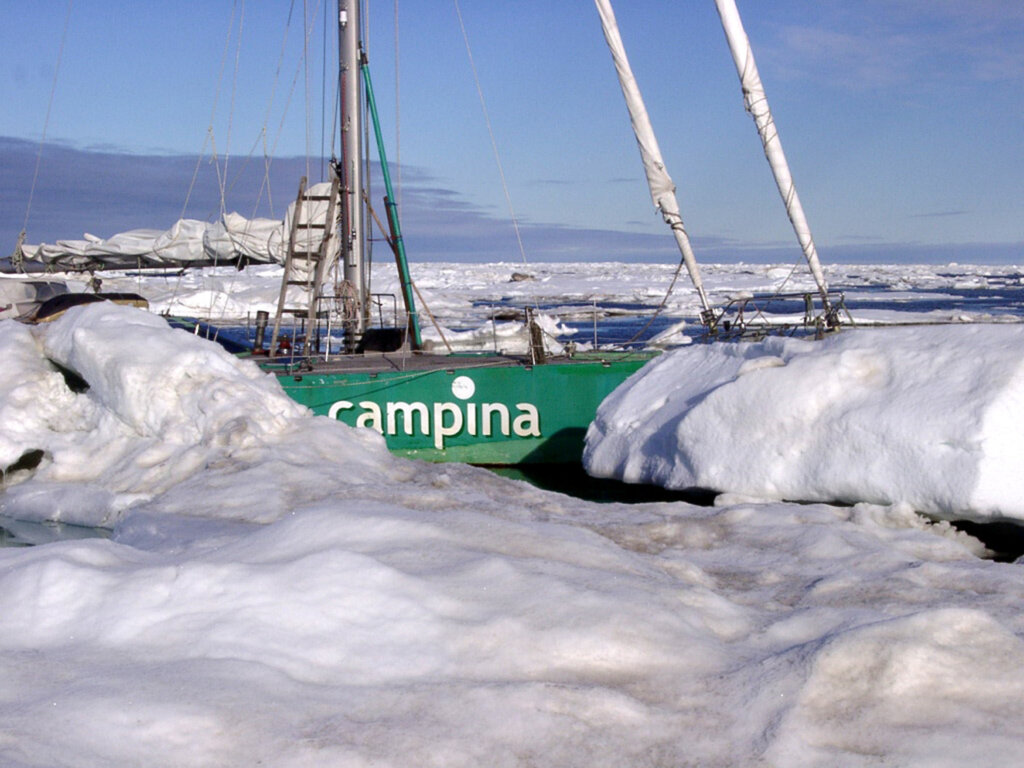 Campina in het pakijs