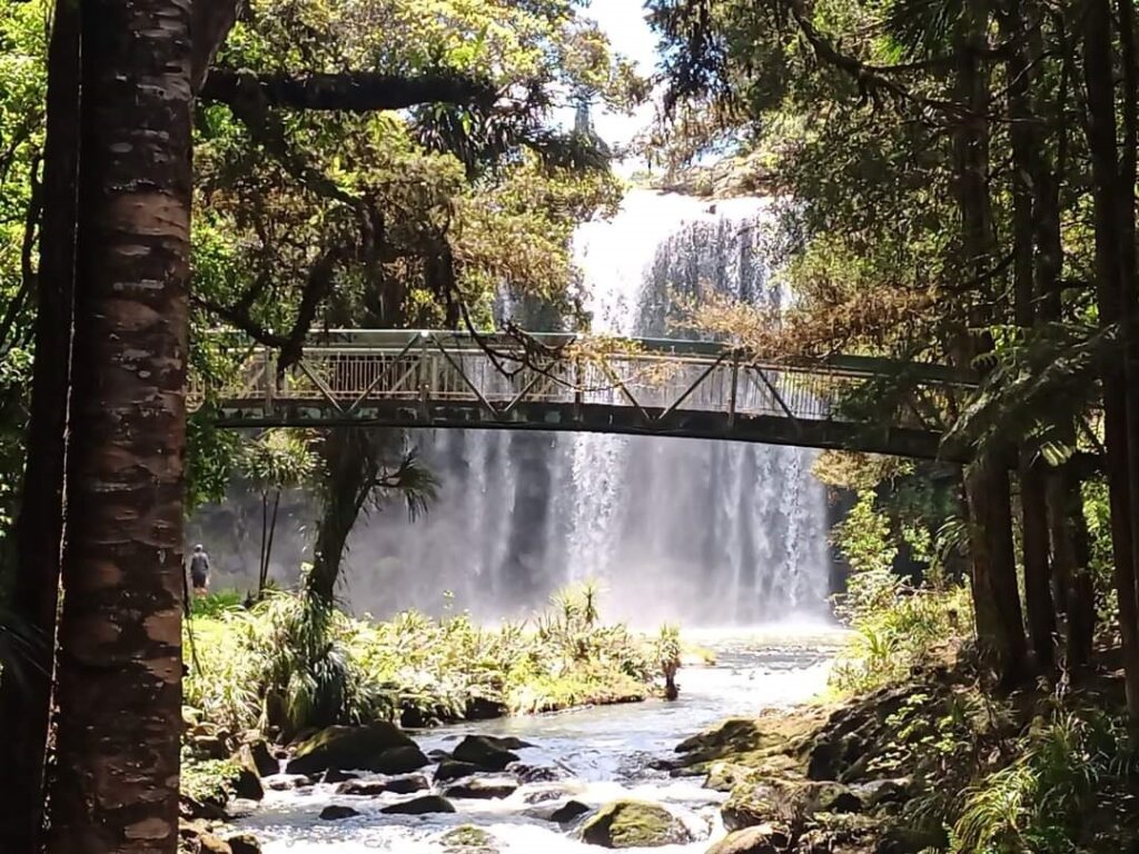 Whangarei Falls op een zomerse dag