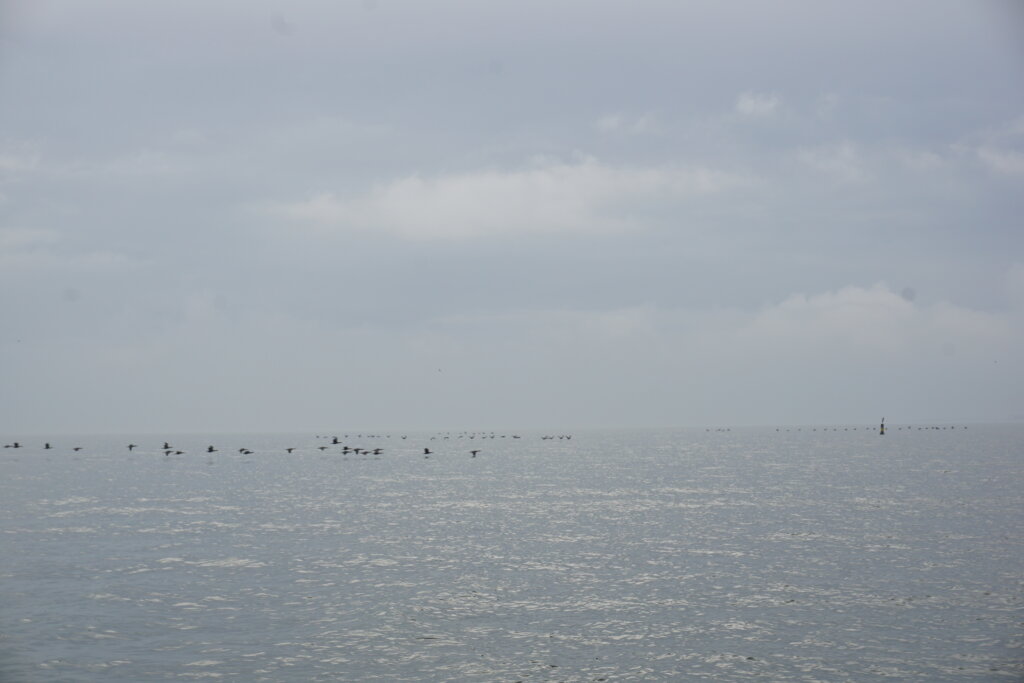 zonne-atollen ijsselmeer