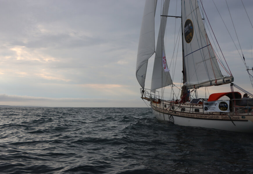 Golden Globe Race week 28