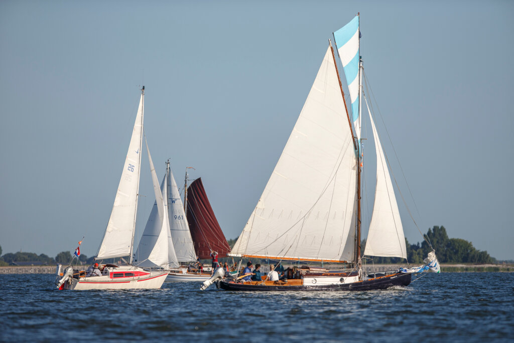 zeilwedstrijden beginners