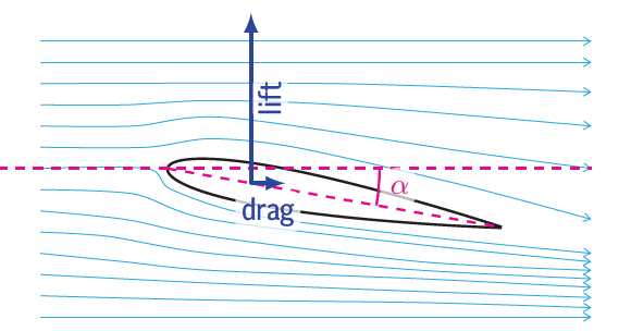 Schematische weergave van een vleugel