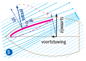 Vleugel 5