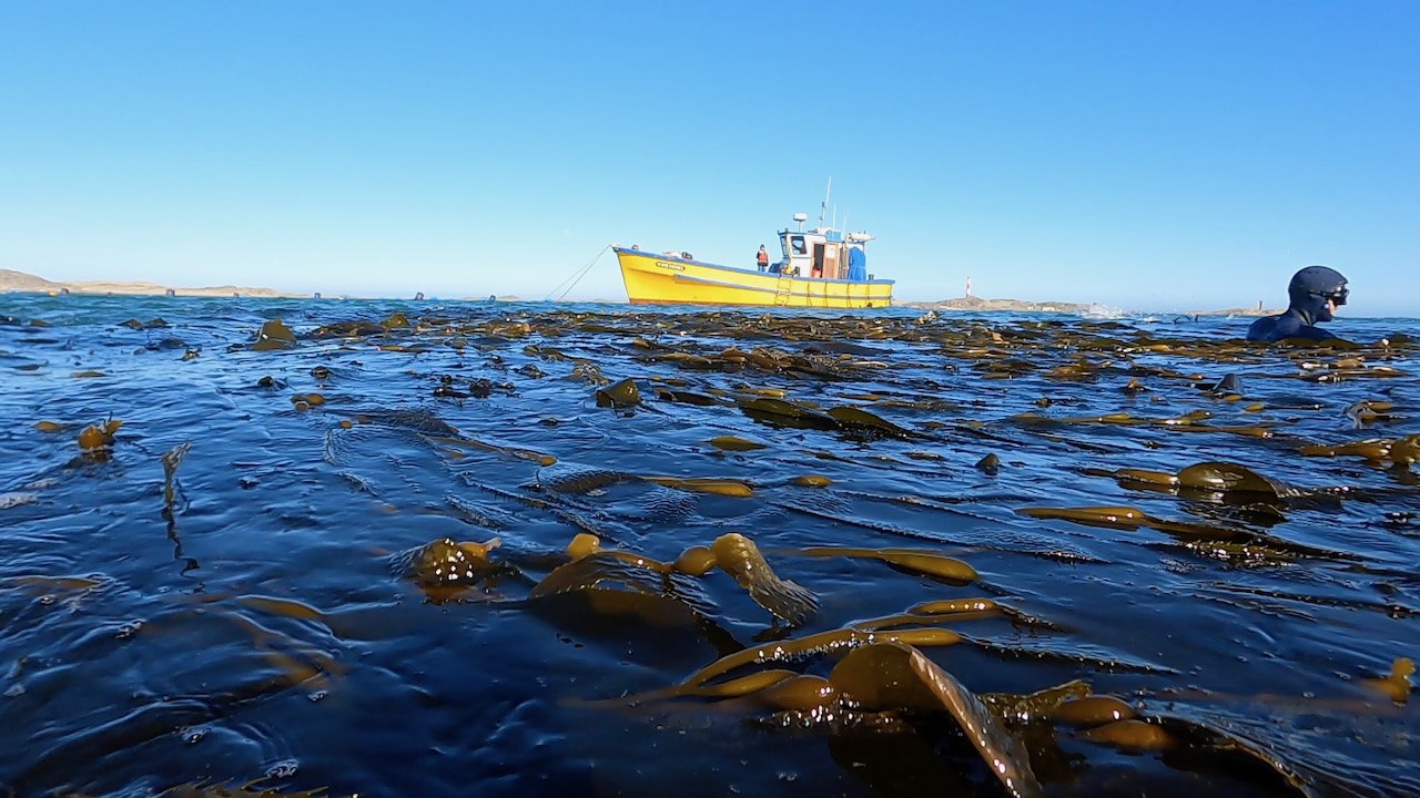 Sailors for Sustainability