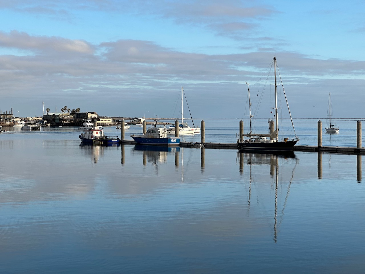 Sailors for Sustainability