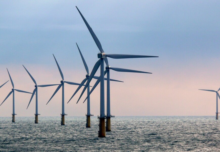 Windmolens stilgezet vogeltrek